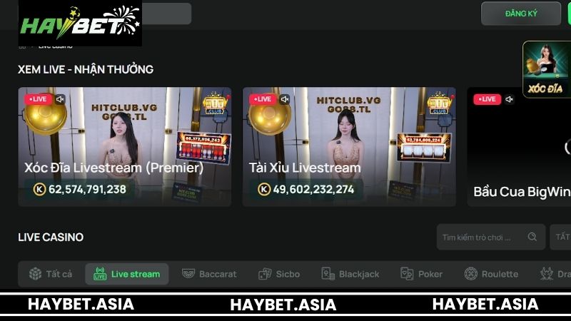 Đánh giá những thế mạnh của Live Casino từ nhà cái HAYBET 