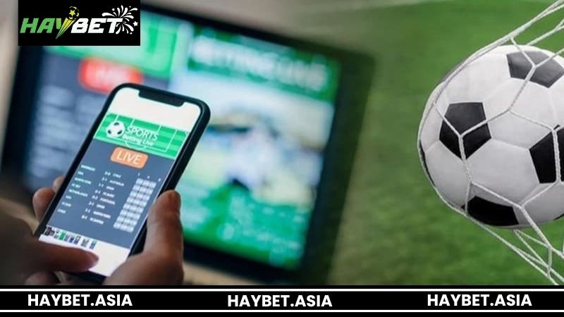 Điểm danh những loại hình cược thể thao tại nhà cái HAYBET 