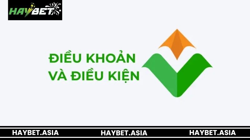 Điều khoản và điều kiện HAYBET cho thành viên mới
