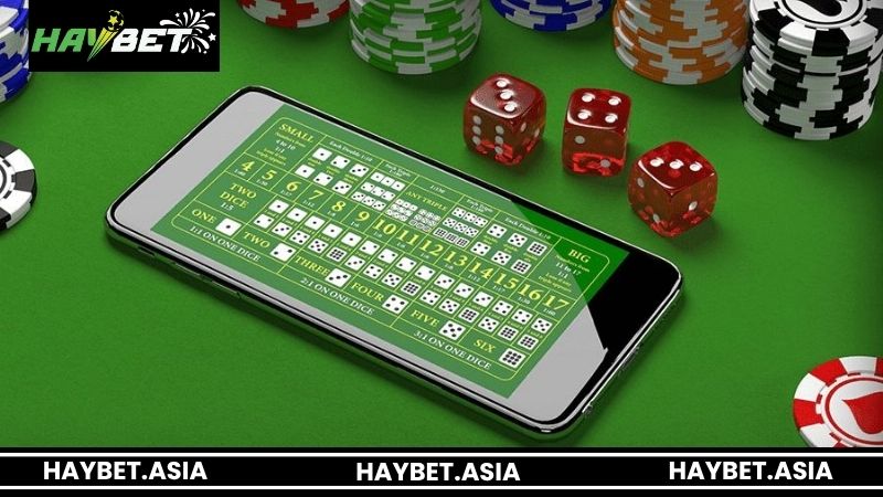 Những kinh nghiệm đặt cược tài xỉu online tại HAYBET