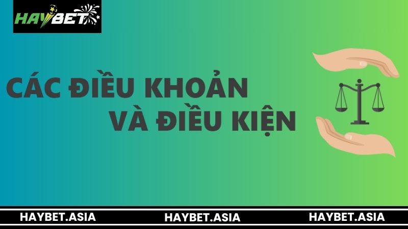 Những quy định quan trọng trong điều khoản và điều kiện HAYBET