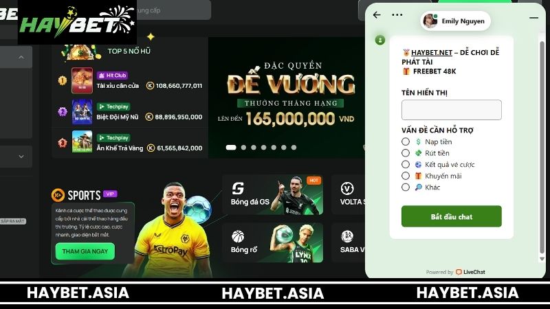 Quy trình liên hệ HAYBET nhanh chóng