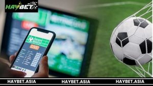 Tìm hiểu về kèo nhà cái HAYBET hiện nay